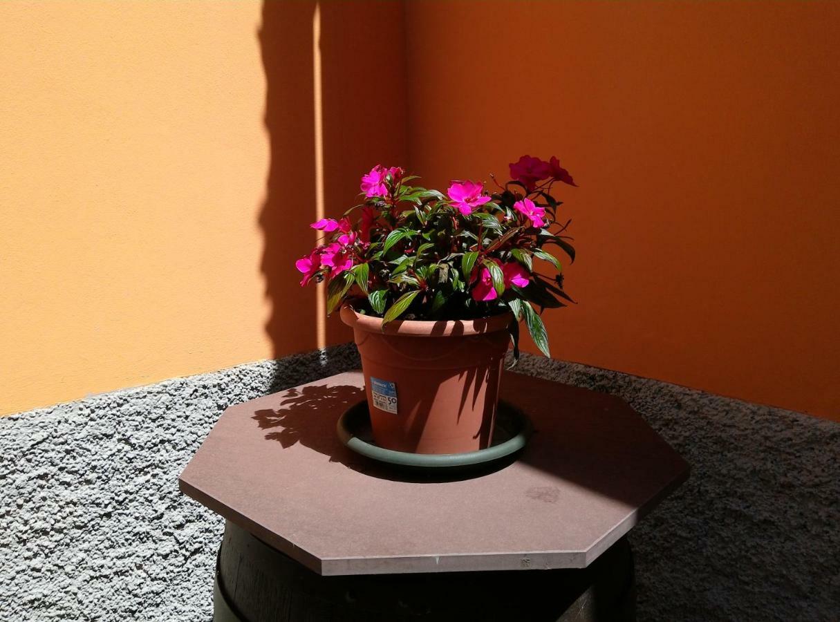 ペスカンティーナ Casavacanzaicolliヴィラ エクステリア 写真